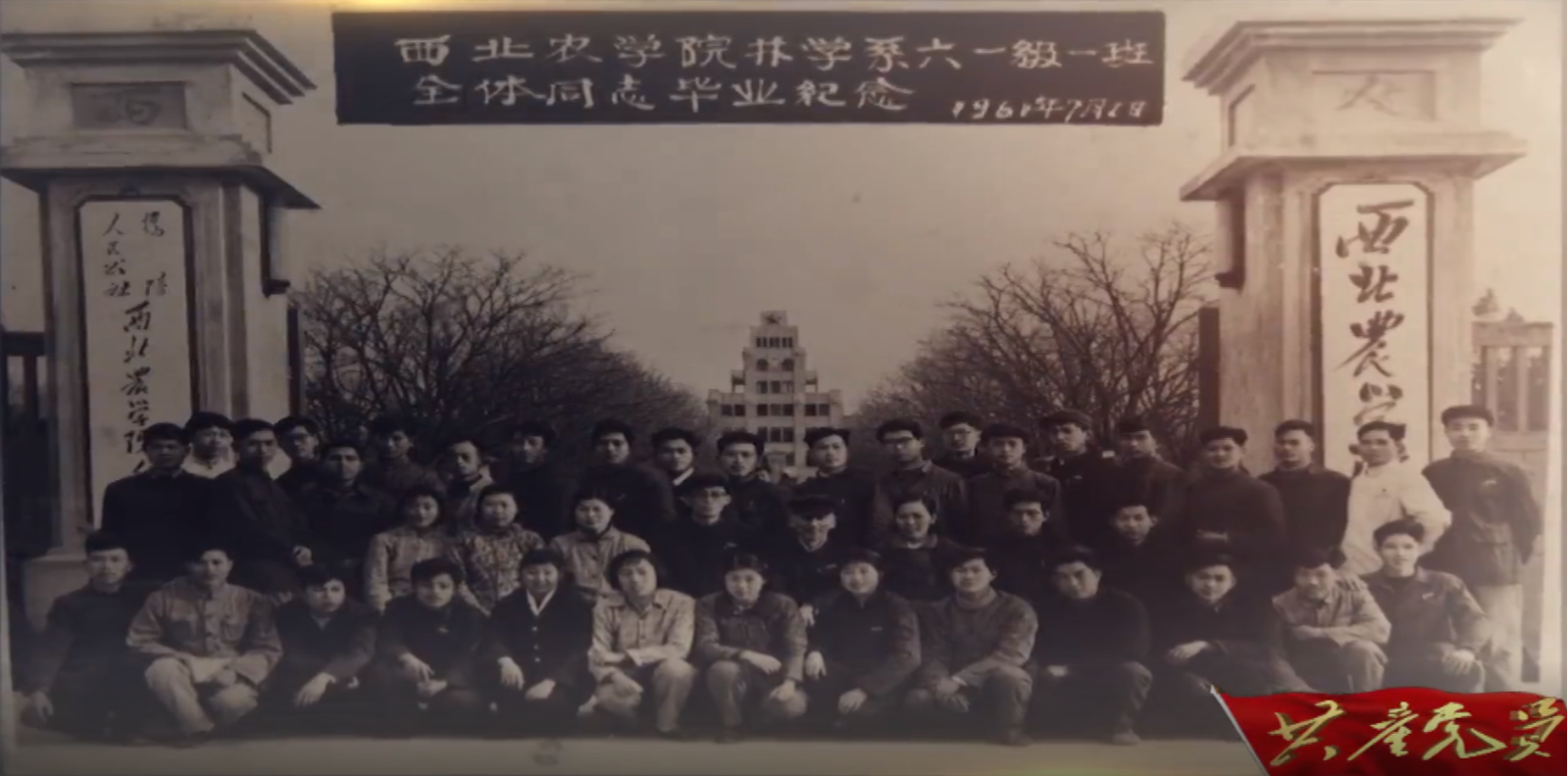 张淑珍.png